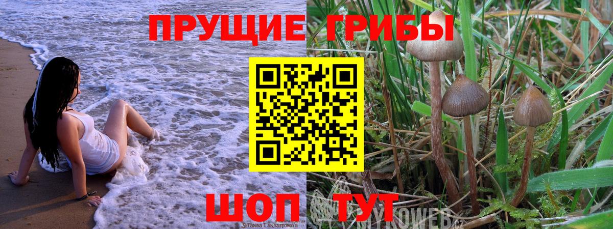 Брянск  Галлюциногенные грибы мухоморы  где найти   Вход с VPN 