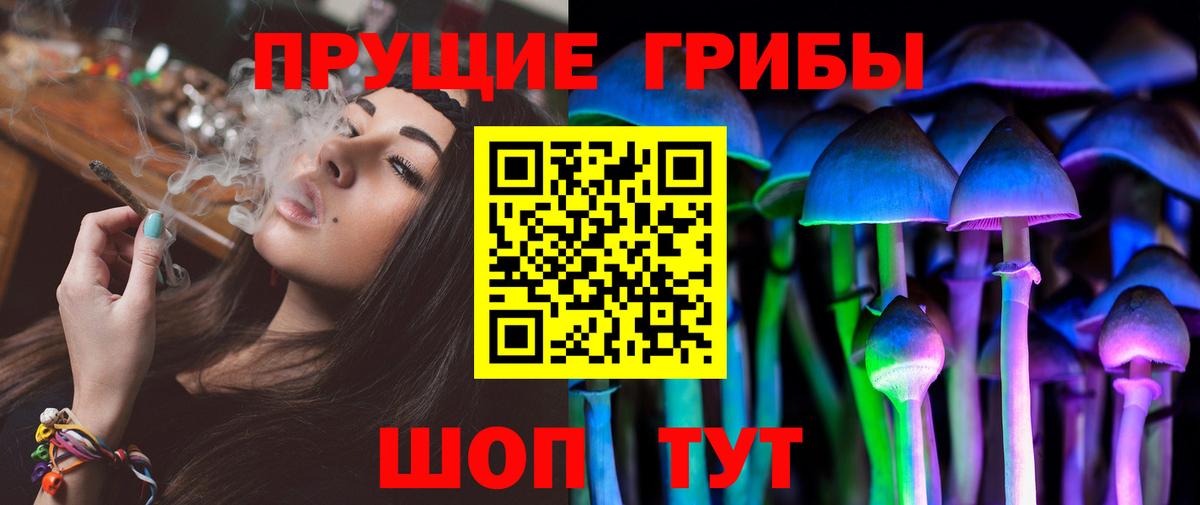 Галлюциногенные грибы Cubensis Брянск